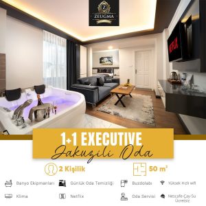 1+1 executive jakuzili oda